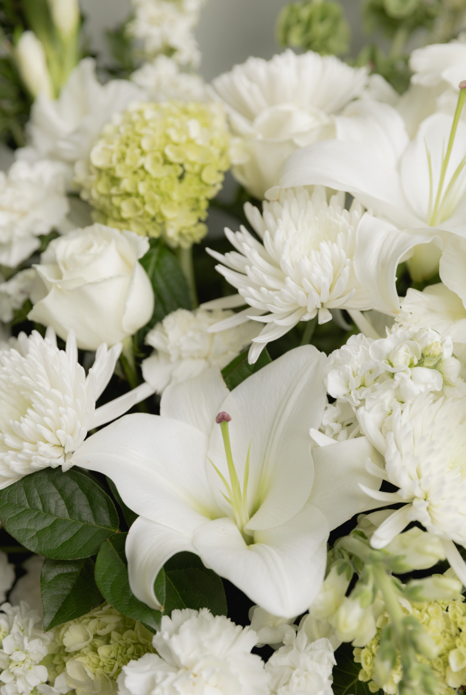 Designer's Choice: Whites + Greens