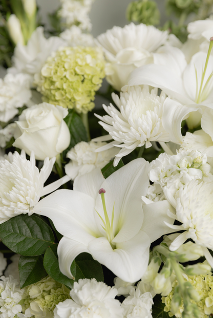 Designer's Choice: Whites + Greens